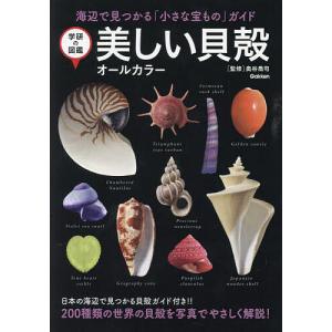 美しい貝殻 海辺の宝ものガイドの買取情報