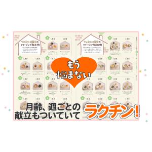 うたまるごはんのかんたんフリージング離乳食・幼...の詳細画像3