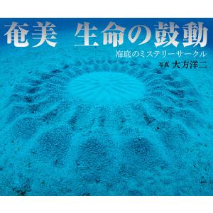 奄美生命の鼓動 海底のミステリーサークル/大方洋二｜bookfan