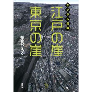 デジタル鳥瞰江戸の崖東京の崖/芳賀ひらく