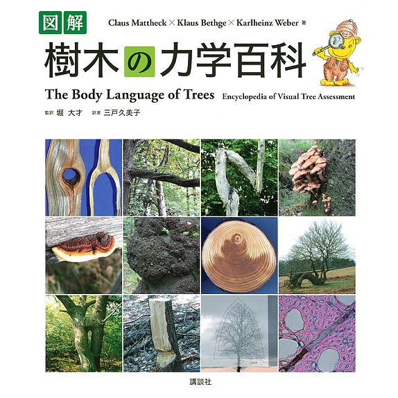 図解樹木の力学百科/クラウス・マテック/クラウス・ベスゲ/カールハインツ・ヴェーバー