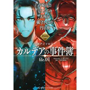 カルデアの事件簿 file.01/TYPE−MOON/青崎有吾/汀こるもの｜bookfan