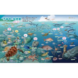 はじめてのずかんさかな/瀧靖之/宮崎佑介の詳細画像2
