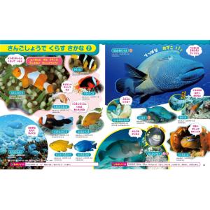 はじめてのずかんさかな/瀧靖之/宮崎佑介の詳細画像3