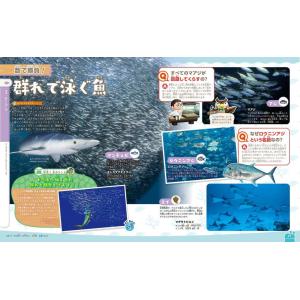 あつまれどうぶつの森島の生きもの図鑑/伊藤弥寿...の詳細画像1