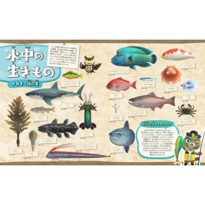 あつまれどうぶつの森島の生きもの図鑑/伊藤弥寿...の詳細画像2