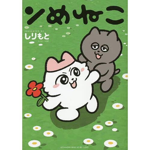 ンめねこ/しりもと