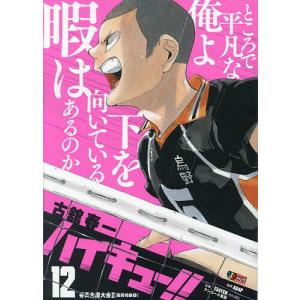 ハイキュー!! 12｜bookfan