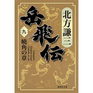 岳飛伝 9/北方謙三