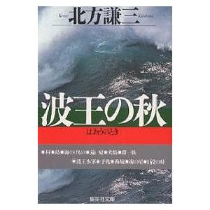 波王の秋(とき)/北方謙三