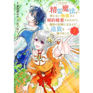 精霊魔法が使えない無能だと婚約破棄されたので、義妹の奴隷になるより追放を選びました