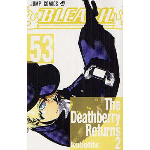 BLEACH 53/久保帯人