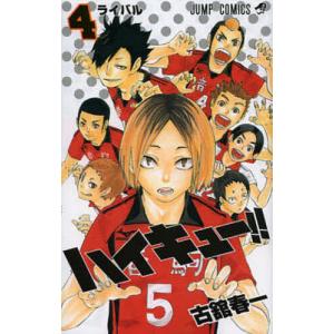 ハイキュー全巻＋小説5巻＋公式カラーイラスト集1巻 集英社（SHUEISHA） 新品 / ハイキュー!! カラーイラスト集 ハイカラ