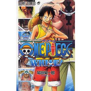 送料無料】[本/雑誌]/ONE PIECE ワンピース 尾田栄一郎 画集 COLOR