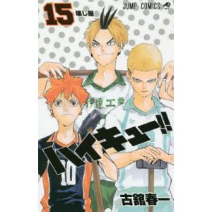 集英社（SHUEISHA） 新品 / ハイキュー!! カラーイラスト集 ハイカラ