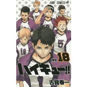 集英社（SHUEISHA） 新品 / ハイキュー!! カラーイラスト集 ハイカラ