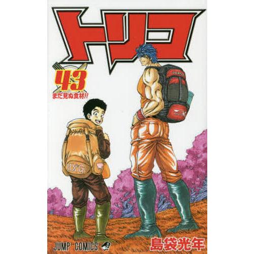 トリコ 43/島袋光年