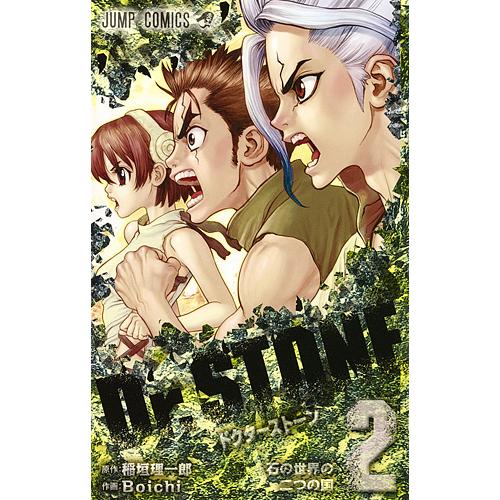 Dr.STONE 2/稲垣理一郎/Boichi