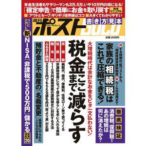 週刊ポストGOLD 税金ここまで減らす