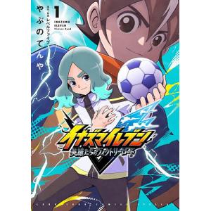イナズマイレブン英雄たちの道の高価買取価格