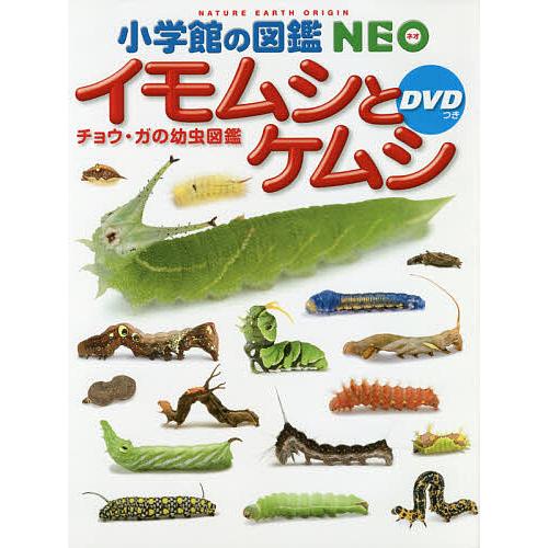 イモムシとケムシ チョウ・ガの幼虫図鑑/鈴木知之/・写真・幼虫飼育横田光邦/・写真・幼虫飼育筒井学
