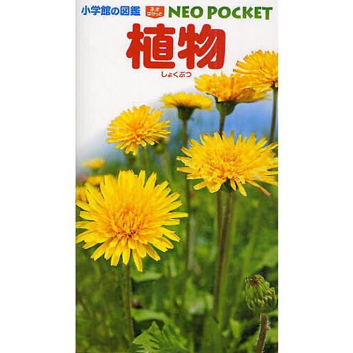 植物/和田浩志/・執筆岡田比呂実/・執筆吹春俊光