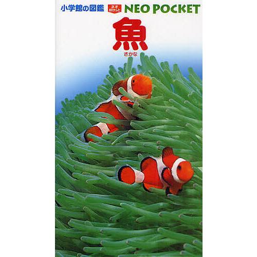 魚/井田斉/・執筆朝日田卓