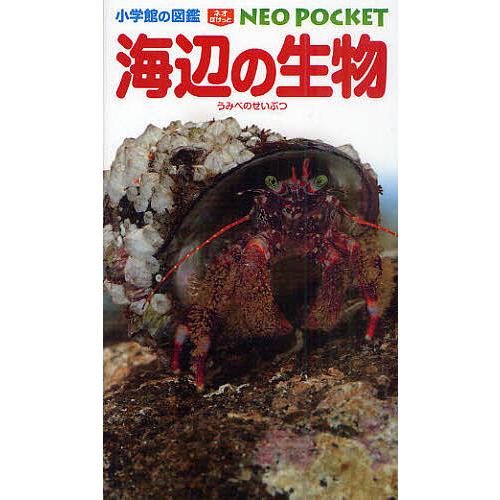 海辺の生物/白山義久/・執筆松沢陽士/楚山いさむ