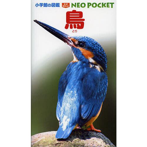 鳥/上田恵介/柚木修/・執筆水谷高英