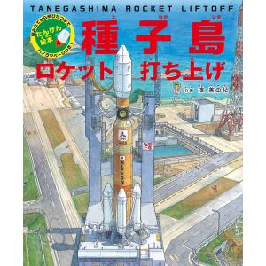 全日本真空管マニュアル 一木吉典 、ラジオ技術社 、昭和33 : 波多野巌