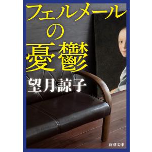 フェルメールの憂鬱/望月諒子の商品画像