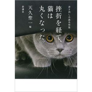 挫折を経て、猫は丸くなった。 書き出し小説名作集 天久聖一の買取情報