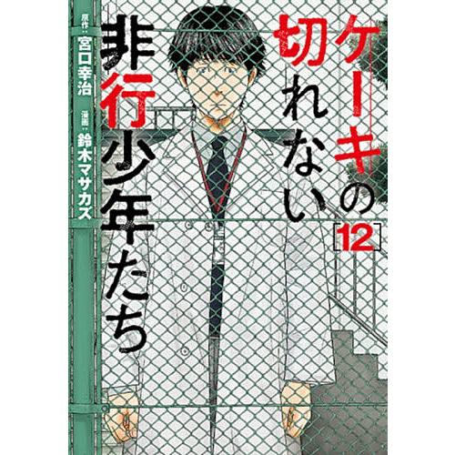 ケーキの切れない非行少年たち 12/宮口幸治/鈴木マサカズ