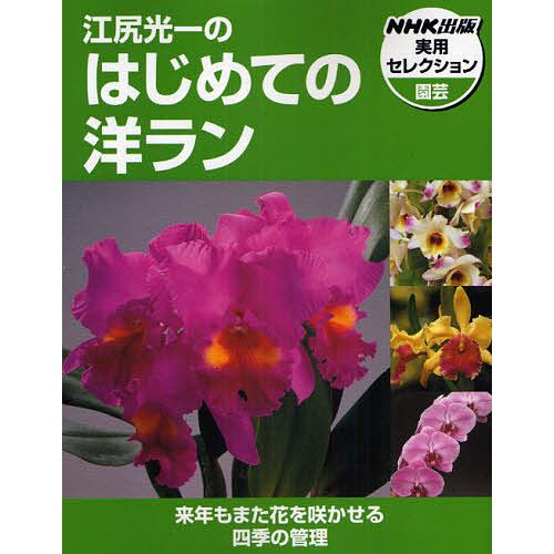 江尻光一のはじめての洋ラン/江尻光一