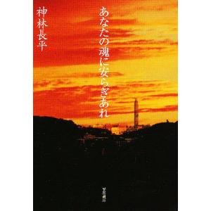 新品 / 岡田淳こそあどの森の物語完結セット(全12巻セット) : 漫画全巻