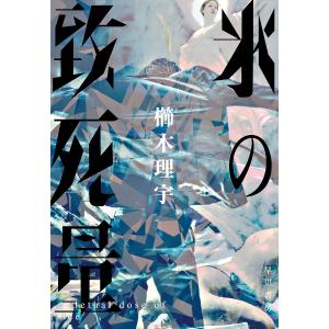 2026 スタンダード数学演習I・II・A・B・C〔ベクトル〕 受験編 本冊