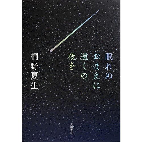 眠れぬおまえに遠くの夜を/桐野夏生