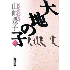 大地の子 文庫版 全4巻 山崎豊子 全巻 セット 全巻、表紙アルコール除