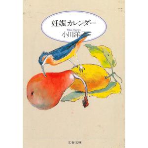 仁村紗和さん宛名入りサイン本受注】仁村紗和1st写真集「燦爛」 : 大垣