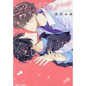 君が想うような僕じゃないけど、｜bookfan