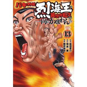 バキ外伝 烈海王は異世界転生しても一向にかまわん...の商品画像