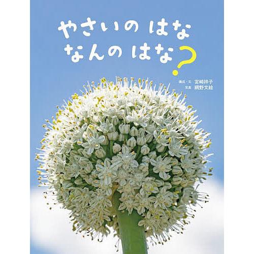 やさいのはななんのはな?/宮崎祥子/・文網野文絵/子供/絵本