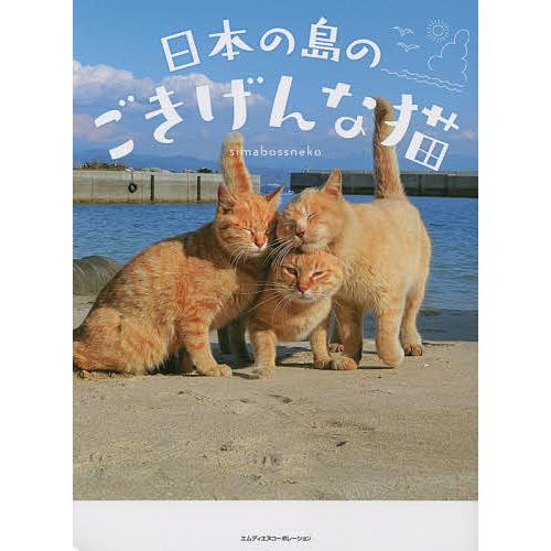 日本の島のごきげんな猫/simabossneko