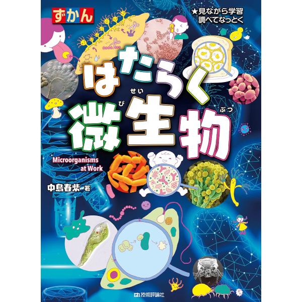 ずかんはたらく微生物 見ながら学習調べてなっとく/中島春紫