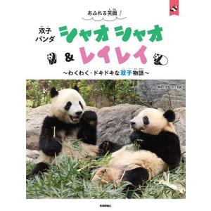 双子パンダのわくわく物語の買取情報