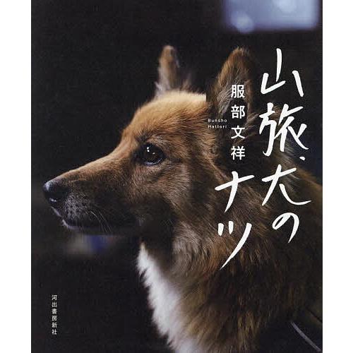 山旅犬のナツ/服部文祥