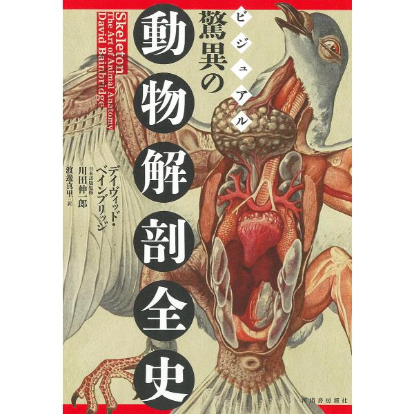 〔予約〕ビジュアル 驚異の動物解剖全史/デイヴィッド・ベインブリッジ/川田伸一郎/渡邊真里