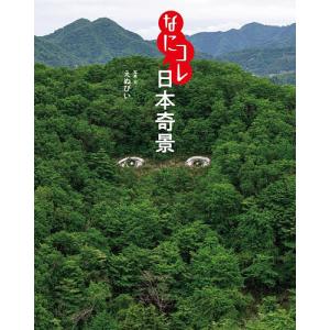 なにコレ日本奇景/えぬびい