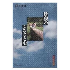 景観のふるさと史/藤井淑禎