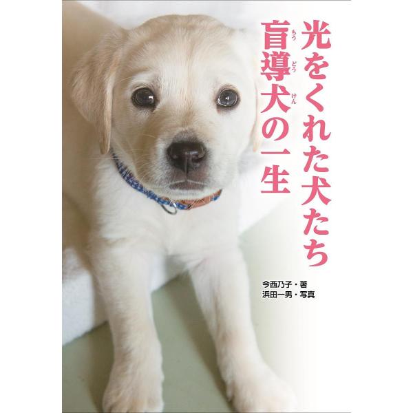 光をくれた犬たち盲導犬の一生/今西乃子/浜田一男